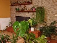 PH2202 - Pécs, Egyenlőség utca PH2202 - Pécs, Egyenlőség utca